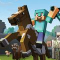 Jeux vidéos:MINECRAFT