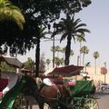 Gourmande à Marrakech