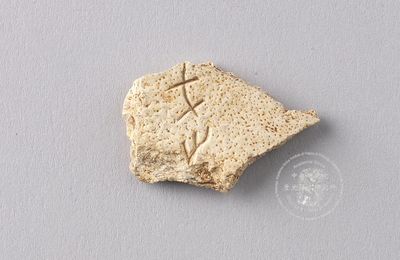 Fragment of human skull engraving, Shang dynasty, Bronze Age, Yin Ruins, Xiaotun, Anyang County, Henan Province