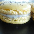 Macaron au citron et pavot