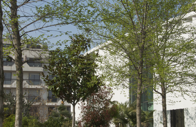 Jardin avec piscine ! 