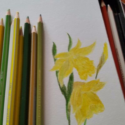 Le printemps se prépare !