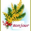 Des fleurs pour un dimanche