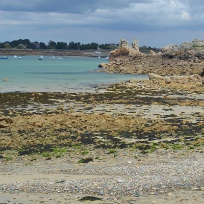 Balade à PORT BLANC - PENVENAN (22)