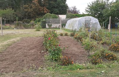 Jardin d'automne 