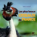 « Les plus beaux oiseaux de France » sur papier glacé !