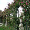 La roseraie de La Haye les Roses
