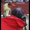 Temporada : Santander – Antonio Ferrera retrouve son sitio et triomphe face à un grand toro de Núñez del Cuvillo