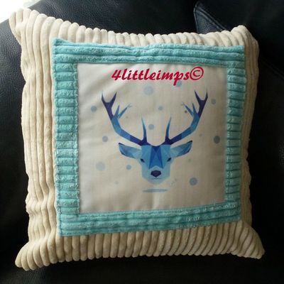 Coussins tout doux pour neveu tout new!!!