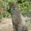 Après-midi au zoo du Lunaret (Montpellier)