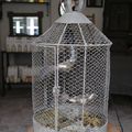 Lampe cage à oiseau à poser ou à suspendre avec oiseau suspendu