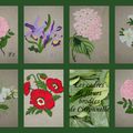 tableaux de fleurs brodees 20 x 20 cm ou 24 x 18