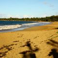 Plage de Cluny et ses alentours