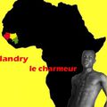 le ChArmeUr AfRicaiN