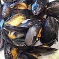 Moules de Morisseau
