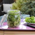 ...Comment conserver la salade verte plus longtemps ?...