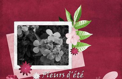 Fleurs d'été