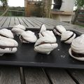 " meringue et nappage chocolat "