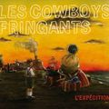 Les Cowboys Fringants - Arena de Genève