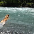 Activité "baignade"...