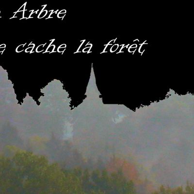 Accueil