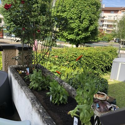 13 ans 10 mois / 10 ans 1 mois / 6 ans 7 mois