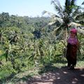 A la découverte des environs de Ubud