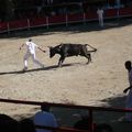 La course camarguaise, J'adore!