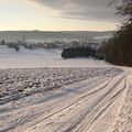A travers le Sundgau par -15°C