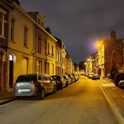 Sondage stationnement payant rue du Bois & quartier Pellevoisin