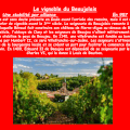 le vignoble du Beaujolais, en 957