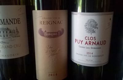 Dégustation à l'aveugle de vins de la rive droite de Bordeaux : millésime 2014 (1)