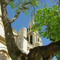 Les 2 églises de Saint-Clar