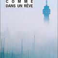 Comme dans un rêve - Leif GW Persson