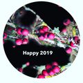 Happy 2019