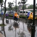 Suzhou ou les jardins d'Eden