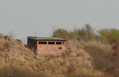 La Cabane de Moins