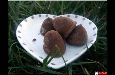 Truffes en Chocolat