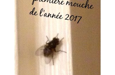 Observations scientifiques