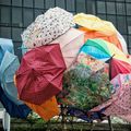 Tournesols taïwanais, parapluies hongkongais.  Occupy en Asie de l’Est