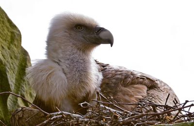 Deux papas aimants plutôt qu'une maman désintéressée !! 