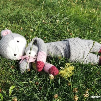 Chouquette, la petite soeur de Kira