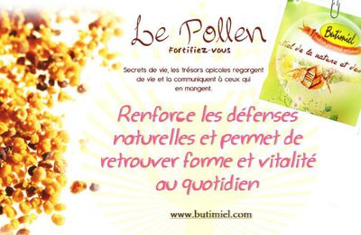 Le pollen, trésor naturel de vie, butimiel en Auvergne