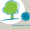 Publications: les martinets à l'honneur dans le Guide "Bâtiment durable" bruxellois!