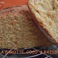 PAIN AUX CAROTTES, COCO & RAISINS SECS