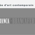 Musée d'art contemporain Fernet Branca