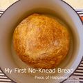 My first No-Knead Bread