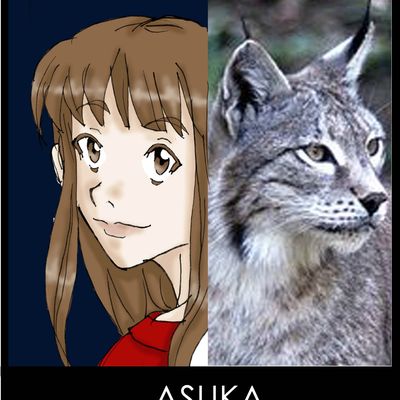 Asuka Oraulle