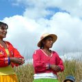 Jueves 15 :Las Islas (Lago Titicaca)