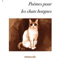 Poèmes pour les chats borgnes